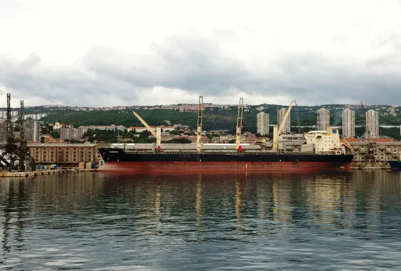 MORNINGSTAR Bulk Carrier IMO 9263069 photo 8