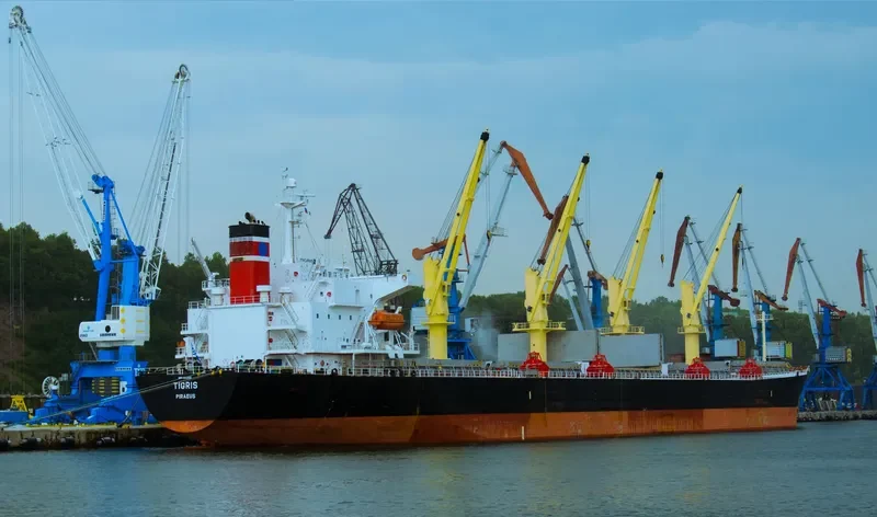 TIGRIS Bulk Carrier IMO 9263112 photo 3