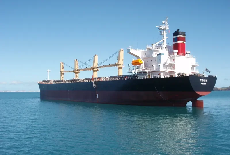 TIGRIS Bulk Carrier IMO 9263112 photo 5