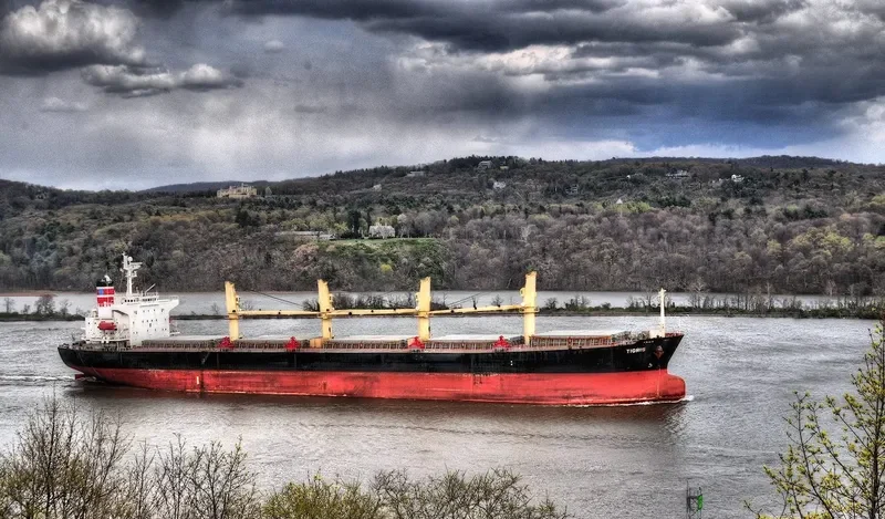 TIGRIS Bulk Carrier IMO 9263112 photo 9