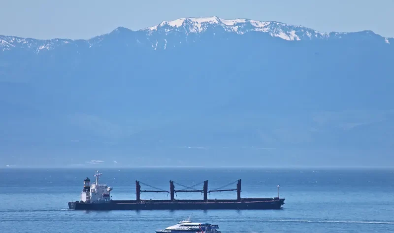 PRABHU LAL Bulk Carrier IMO 9263124 photo 6