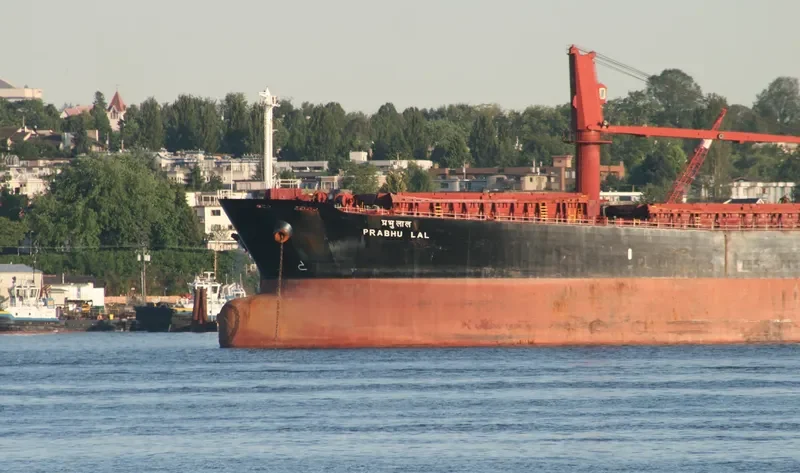 PRABHU LAL Bulk Carrier IMO 9263124 photo 9