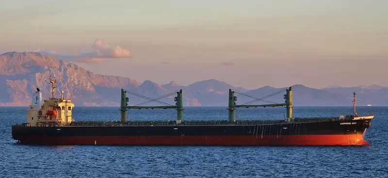 ELANORA Bulk Carrier IMO 9263241 photo 3