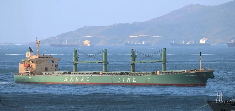 ELANORA Bulk Carrier IMO 9263241 photo 9