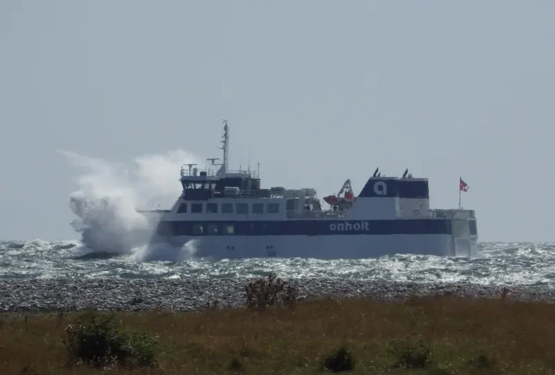 ANHOLT Ro-Ro IMO 9263368