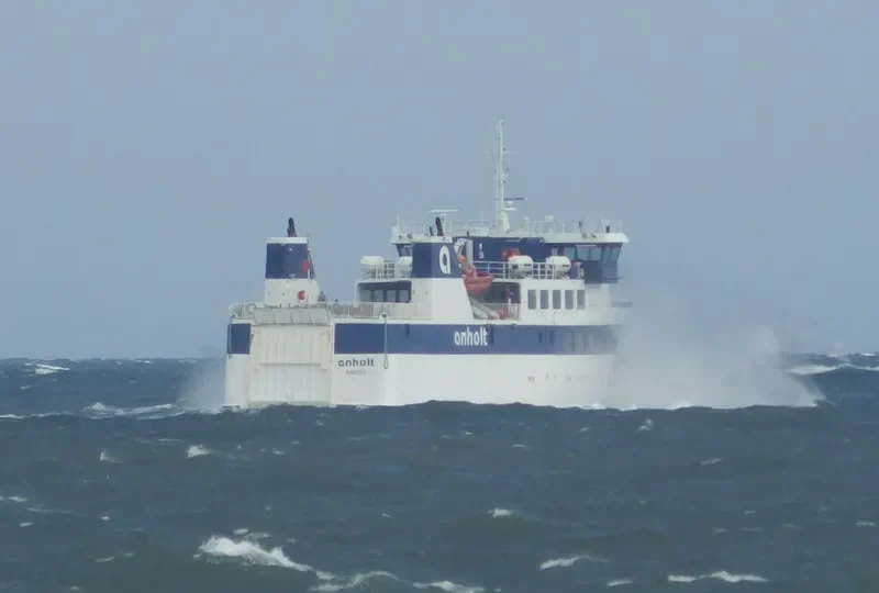 ANHOLT Ro-Ro IMO 9263368 photo 2