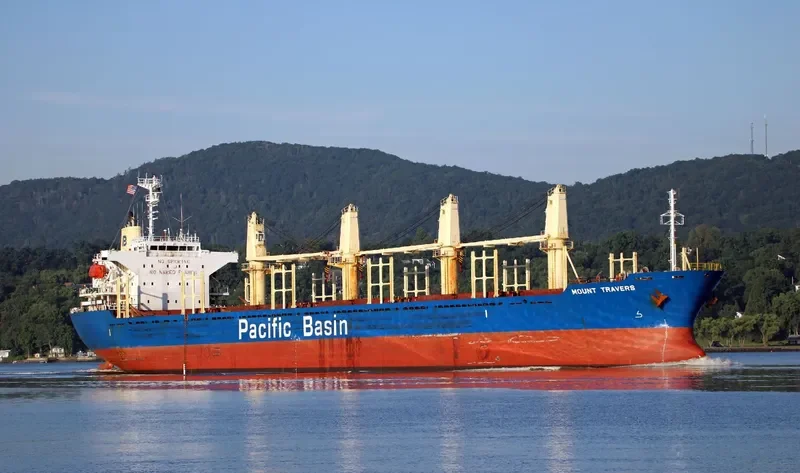 LUCKY BAY Bulk Carrier IMO 9263772 photo 4