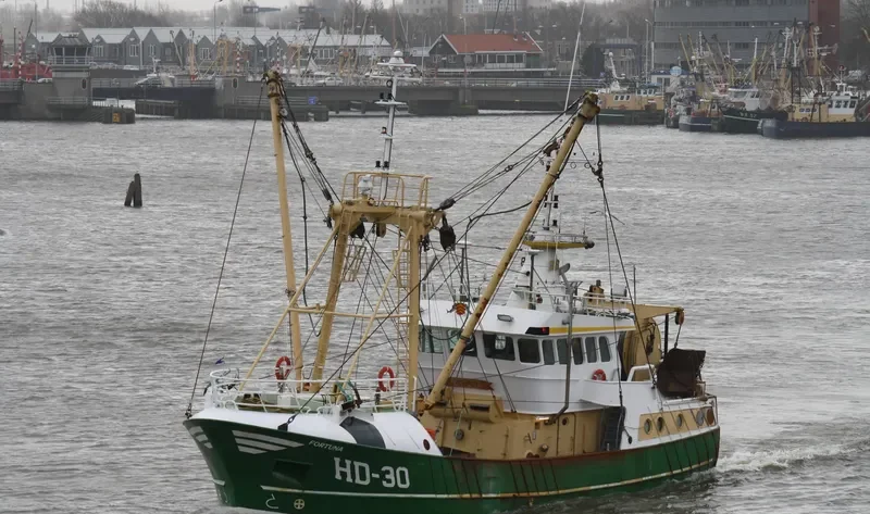 FORTUNA General Cargo IMO 9264295 photo 10