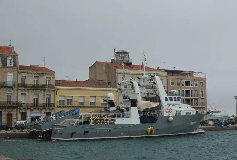 SAINT SOPHIE FRANCOIS III General Cargo IMO 9264415