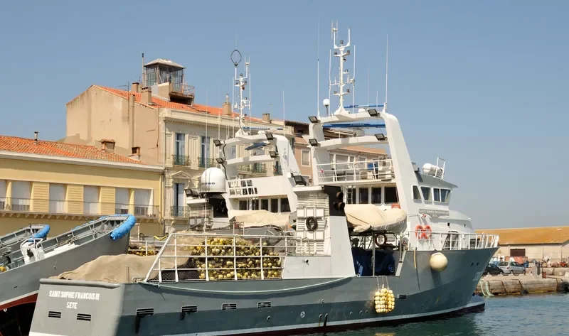 SAINT SOPHIE FRANCOIS III General Cargo IMO 9264415 photo 2