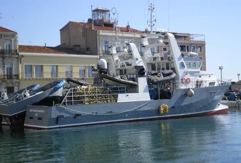 SAINT SOPHIE FRANCOIS III General Cargo IMO 9264415 photo 3