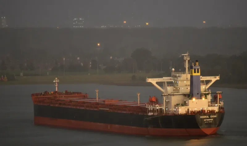 MINERAL CHINA Bulk Carrier IMO 9264790 photo 3