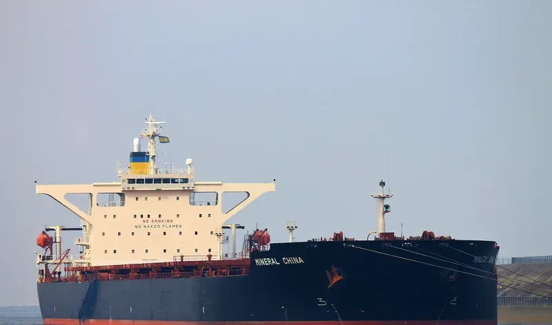 MINERAL CHINA Bulk Carrier IMO 9264790 photo 6