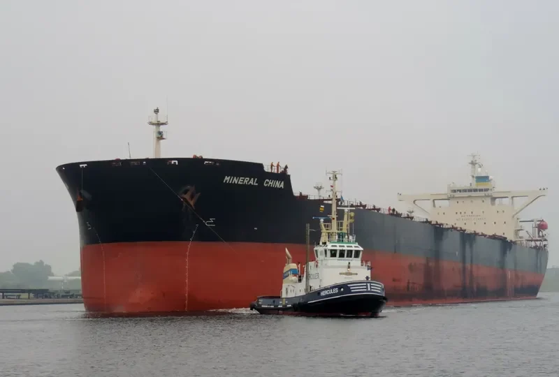 MINERAL CHINA Bulk Carrier IMO 9264790 photo 8