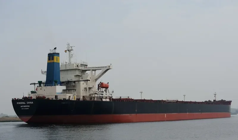 MINERAL CHINA Bulk Carrier IMO 9264790 photo 9