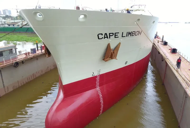 CAPE LIMBOH Tanker IMO 9265378 photo 123
