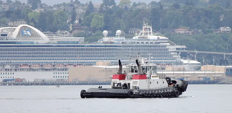 VIGILANT General Cargo IMO 9265603 photo 2