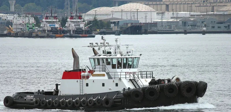 VIGILANT General Cargo IMO 9265603 photo 3