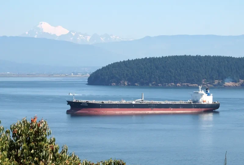 AMBA BHAVANEE Tanker IMO 9265641 photo 2