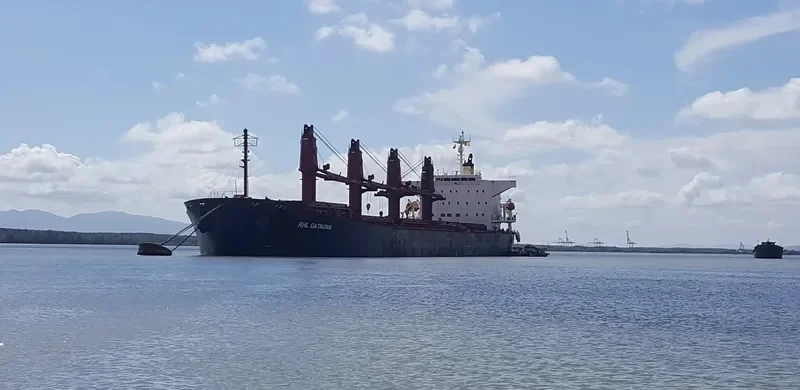 KAREEM Bulk Carrier IMO 9266097 photo 4