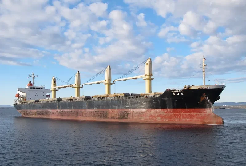 DAEJOO ARIRANG 2 Bulk Carrier IMO 9266138 photo 6