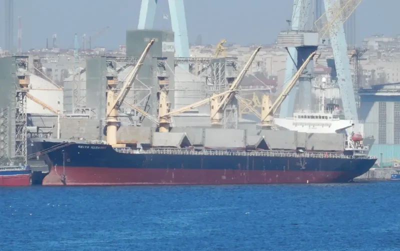 SEIYO HARMONY Bulk Carrier IMO 9266152