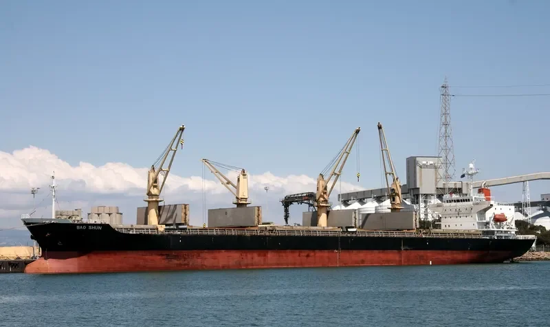 SEIYO HARMONY Bulk Carrier IMO 9266152 photo 3