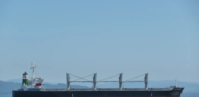 ASIAN PEARL Bulk Carrier IMO 9266176 photo 7