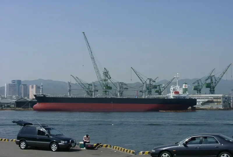 ASIAN PEARL Bulk Carrier IMO 9266176 photo 9