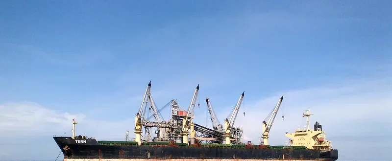 OCEAN SMOOTH Bulk Carrier IMO 9266190 photo 2