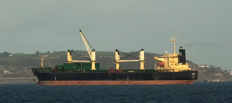 OCEAN SMOOTH Bulk Carrier IMO 9266190 photo 3