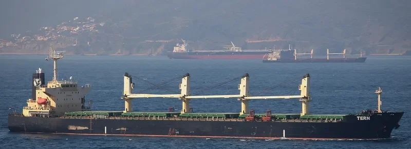 OCEAN SMOOTH Bulk Carrier IMO 9266190 photo 4