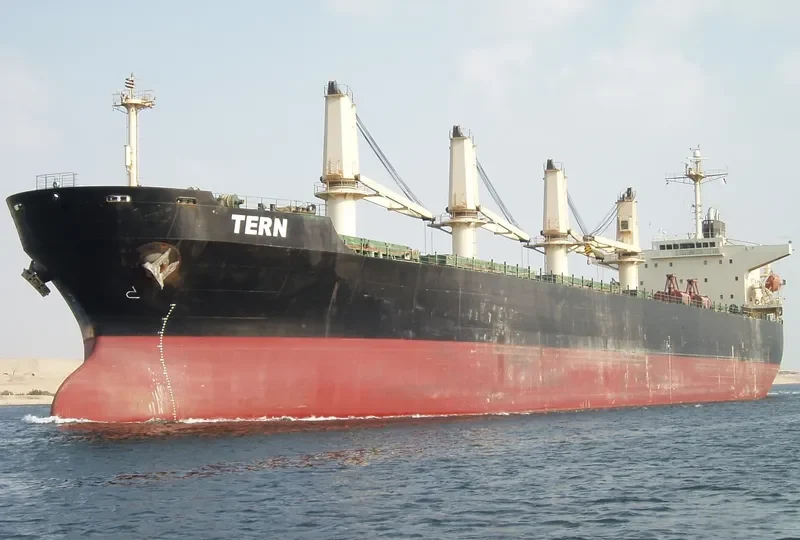 OCEAN SMOOTH Bulk Carrier IMO 9266190 photo 8