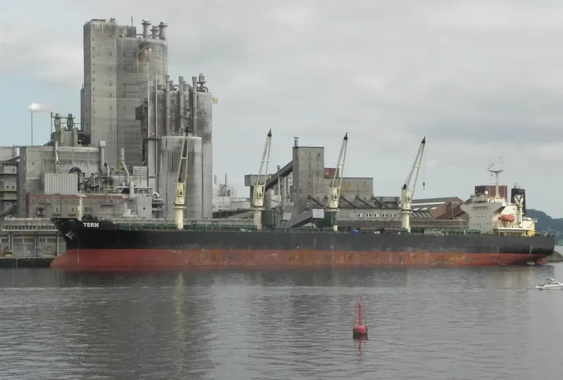 OCEAN SMOOTH Bulk Carrier IMO 9266190 photo 9