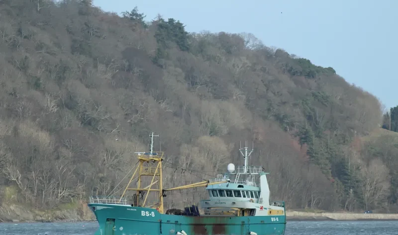 VALENTE General Cargo IMO 9266437