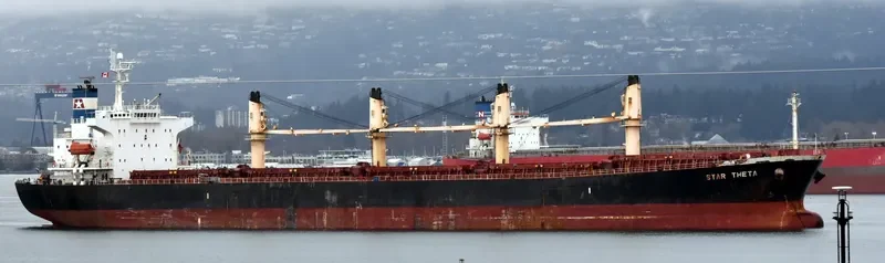 STAR THETA Bulk Carrier IMO 9266449