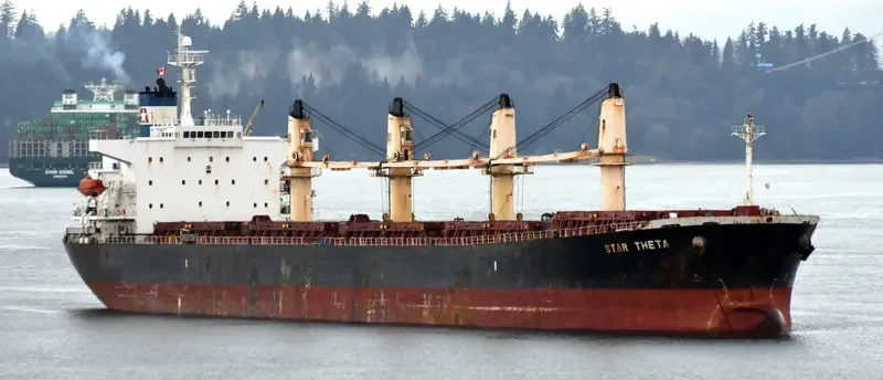 STAR THETA Bulk Carrier IMO 9266449 photo 2