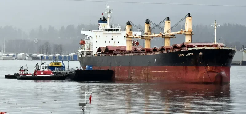STAR THETA Bulk Carrier IMO 9266449 photo 5
