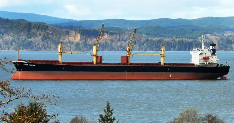 STAR THETA Bulk Carrier IMO 9266449 photo 7