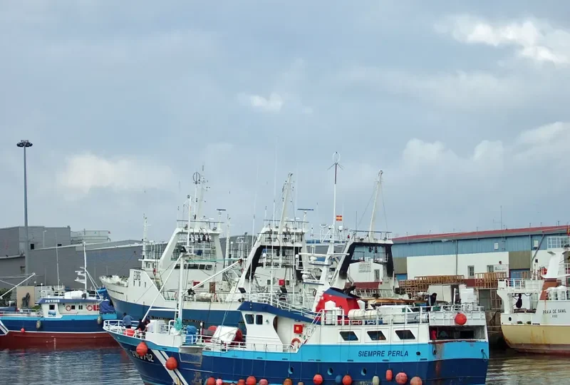 SIEMPRE PERLA General Cargo IMO 9266736