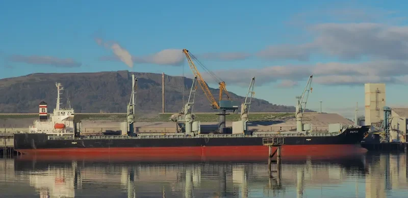 PAPUA Bulk Carrier IMO 9266906 photo 6