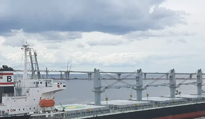 PAPUA Bulk Carrier IMO 9266906 photo 8