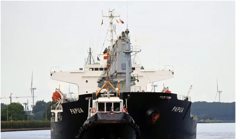 PAPUA Bulk Carrier IMO 9266906 photo 9