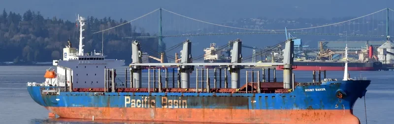 MOUNT BAKER Bulk Carrier IMO 9266918