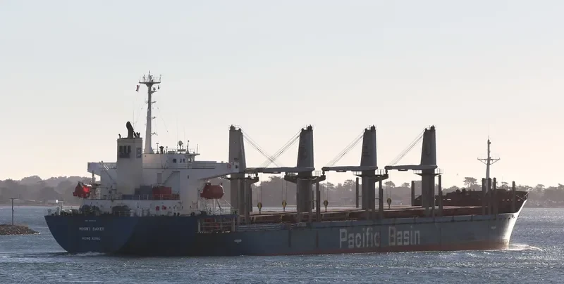 MOUNT BAKER Bulk Carrier IMO 9266918 photo 7