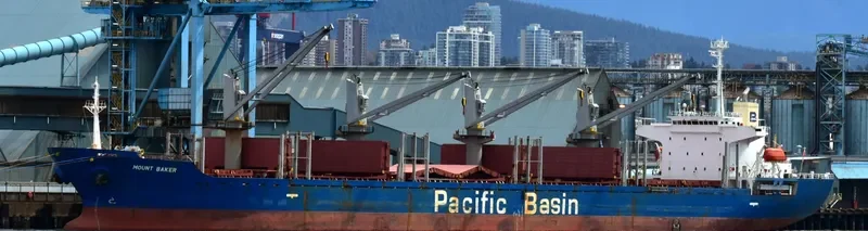 MOUNT BAKER Bulk Carrier IMO 9266918 photo 10