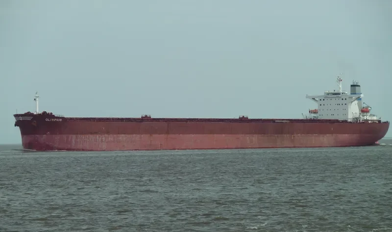 OLYMPIUS Bulk Carrier IMO 9266956 photo 10