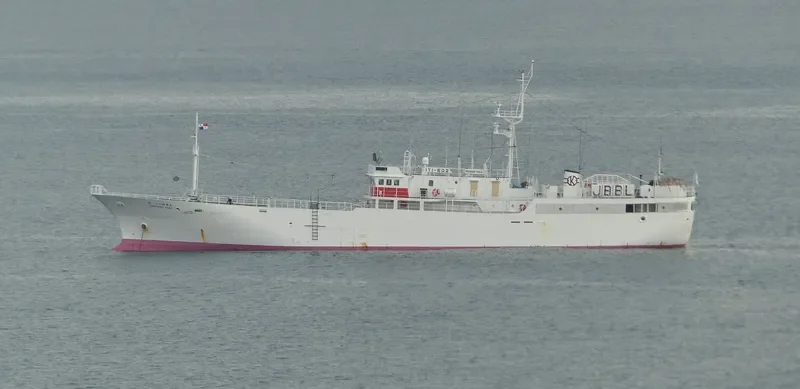 KINEI MARU NO.138 General Cargo IMO 9267053 photo 2