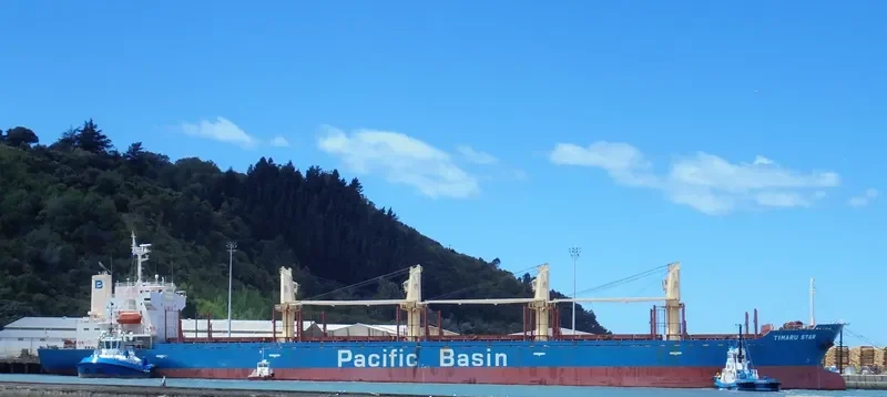 TIMARU STAR Bulk Carrier IMO 9267077 photo 5
