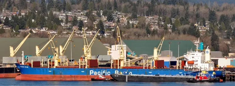 TIMARU STAR Bulk Carrier IMO 9267077 photo 10
